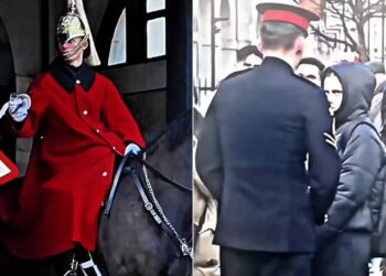 Βίντεο: Τουρίστρια ενόχλησε την έφιππη φρουρά στο Μπάκιγχαμ και πήρε… «βασιλική» απάντηση