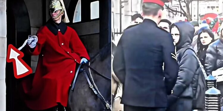 Βίντεο: Τουρίστρια ενόχλησε την έφιππη φρουρά στο Μπάκιγχαμ και πήρε… «βασιλική» απάντηση