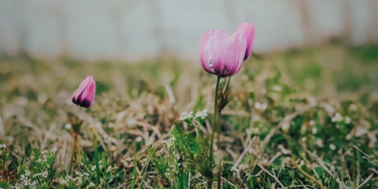 Καιρός – Τσατραφύλλιας: «Πώς θα “πιάσουμε” τον Μάη»