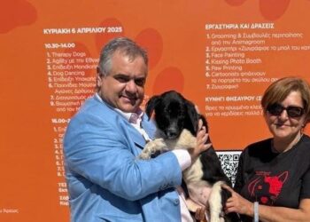 Ο Βασίλης Σπανάκης στο Woof Festival