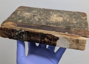 Το «πιο αηδιαστικό βιβλίο στον κόσμο» βρέθηκε σε ένα γραφείο μουσείου