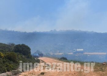 Ζάκυνθος: Καλύτερη η εικόνα από την φωτιά στον Άγιο Λέοντα