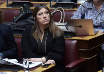 Κωνσταντοπούλου: Η κυβέρνηση επιχειρεί να ξεπλύνει τον Χρήστο Τριαντόπουλο με λαθροχειρίες