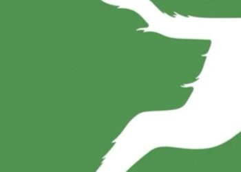 Αυτό που βλέπετε πρώτα στην εικόνα αποκαλύπτει αν είστε αναλυτικός στοχαστής ή ελεύθερο πνεύμα