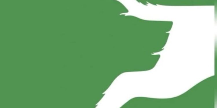 Αυτό που βλέπετε πρώτα στην εικόνα αποκαλύπτει αν είστε αναλυτικός στοχαστής ή ελεύθερο πνεύμα