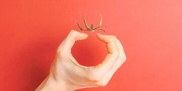 Αυτό που βλέπετε πρώτα στην εικόνα αποκαλύπτει αν είστε διαισθητικοί ή παρατηρητικοί