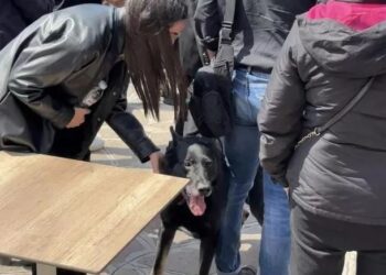 Λέσβος: Θρήνος στην κηδεία του 29χρονου λιμενικού – Συγκίνησε ο σκύλος του που στεκόταν δίπλα στο φέρετρο