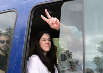 Acropolis: 15 members of the New Left detained after raising the Palestinian flag – See images