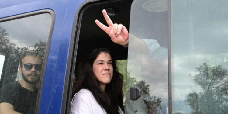 Acropolis: 15 members of the New Left detained after raising the Palestinian flag – See images