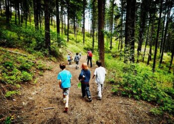 Παιδικές κατασκηνώσεις προγραμμάτων ΛΑΕ/ΟΠΕΚΑ: Ξεκινούν οι αιτήσεις