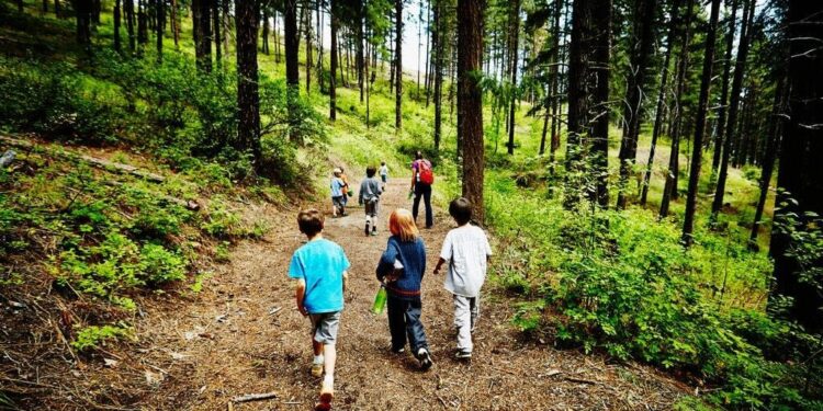 Παιδικές κατασκηνώσεις προγραμμάτων ΛΑΕ/ΟΠΕΚΑ: Ξεκινούν οι αιτήσεις