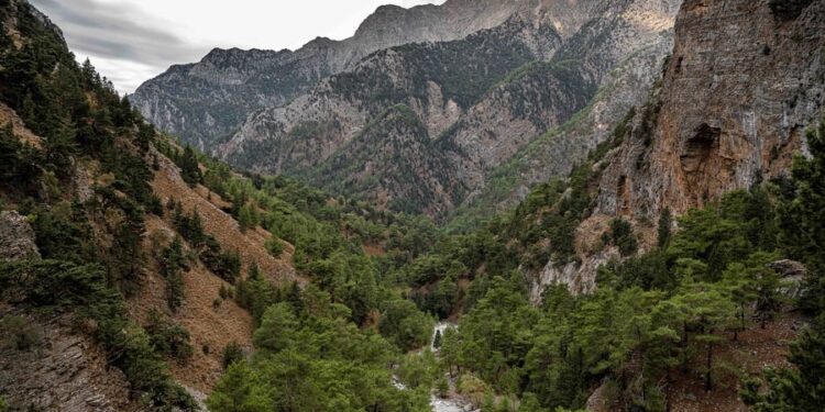 Τουρίστας τραυματίστηκε στο κεφάλι μετά από πτώση πέτρας