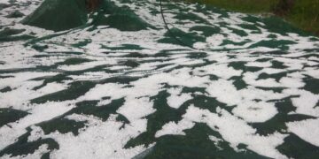 Η εταιρεία που εγκρίθηκε ως προσωρινός ανάδοχος