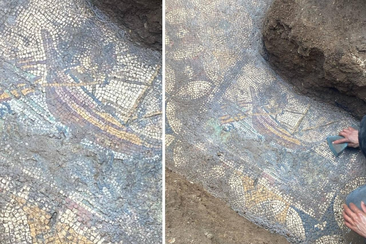 Μωσαϊκό που απεικονίζει λεπτομερώς μια γαλέρα και ένα ελάφι. Ανακαλύφθηκε στη Νίκαια, Βιθυνίας, στις 17 Μαΐου. Φωτογραφία: ΙΗΑ
