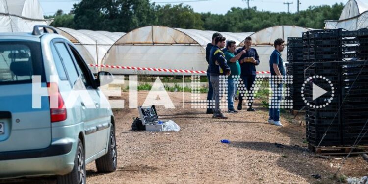Δολοφονία στην Ηλεία: Στον εισαγγελέα σήμερα ο 23χρονος που σκότωσε ομοεθνή του