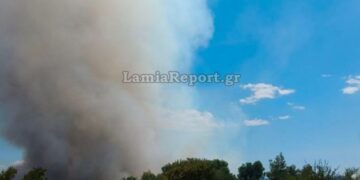 Μία σύλληψη και επιβολή προστίμου για την φωτιά στην Ριτσώνα 