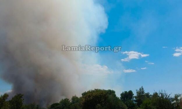 Μία σύλληψη και επιβολή προστίμου για την φωτιά στην Ριτσώνα 