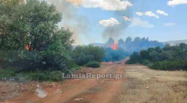 Φωτιά, Ριτσώνα, Εύβοια