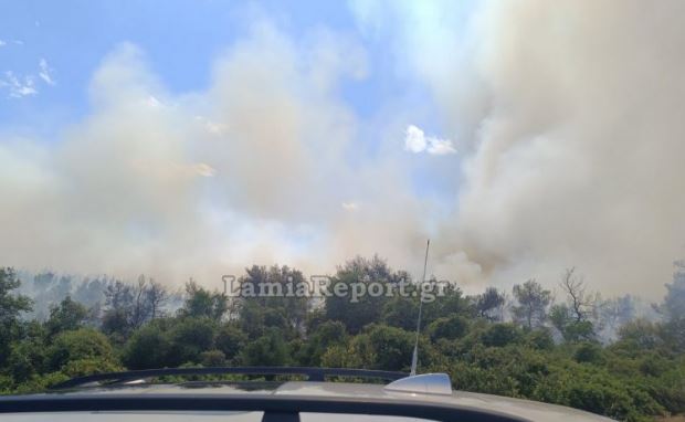 Φωτιά, Ριτσώνα, Εύβοια