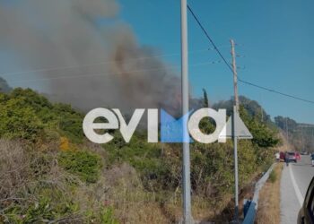Οριοθετήθηκε η φωτιά σε δασική έκταση στην Εύβοια