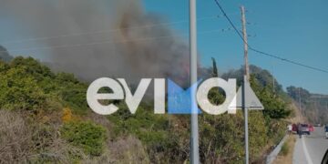 Οριοθετήθηκε η φωτιά σε δασική έκταση στην Εύβοια