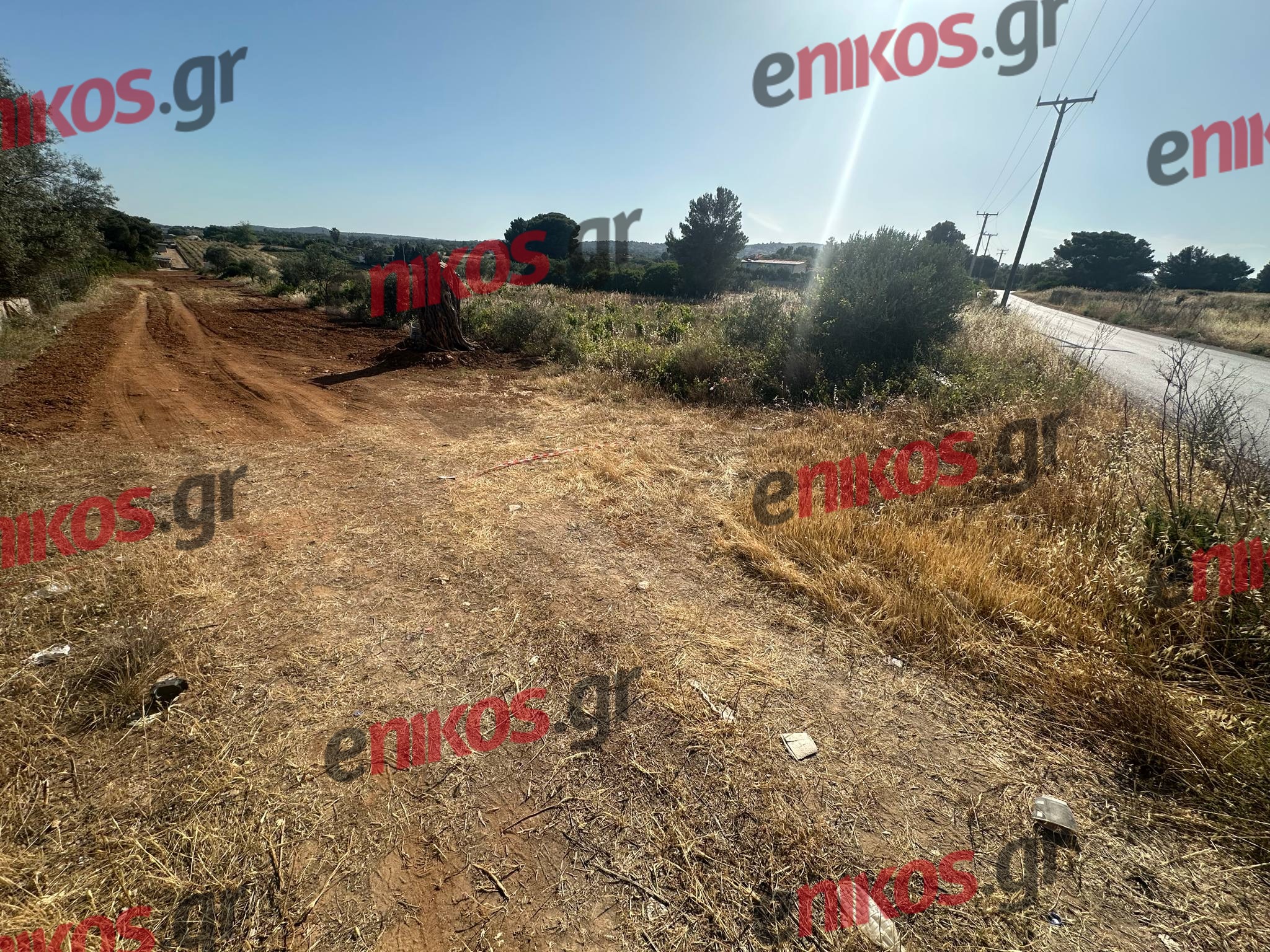 Ραφήνα, δολοφονία
