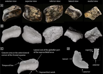 Επιστήμονες έκαναν έργα και ανακάλυψαν κάτι μοναδικό