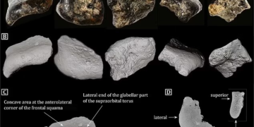 Επιστήμονες έκαναν έργα και ανακάλυψαν κάτι μοναδικό