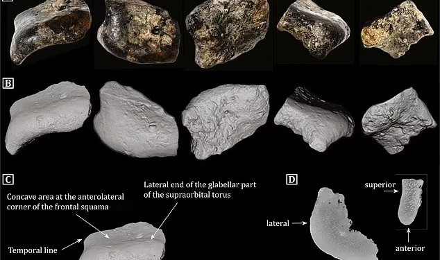 Επιστήμονες έκαναν έργα και ανακάλυψαν κάτι μοναδικό