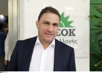 Η κυβέρνηση είναι αυτή που βαφτίζει το ψάρι κρέας, επειδή ο ελεγχόμενος υπουργός λέγεται Καραμανλής