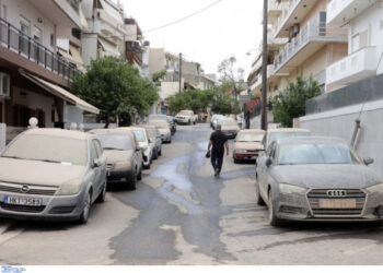 Έπεσαν 21 κιλά ανά στρέμμα μόνο την Κυριακή