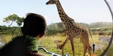 Η κινεζική «Google» φτιάχνει μηχάνημα μετάφρασης των ζώων