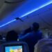Βίντεο: Δύο περιστέρια έκαναν… check-in σε αεροπορική πτήση