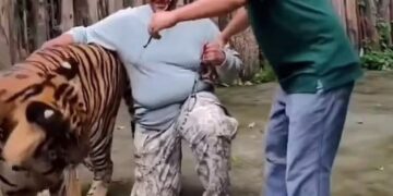 Ταϊλάνδη: Τουρίστας δέχτηκε επίθεση από τίγρη την ώρα που έβγαζε selfie μαζί της