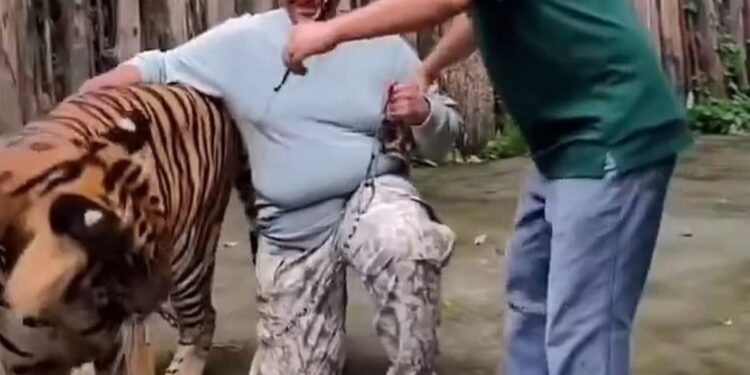 Ταϊλάνδη: Τουρίστας δέχτηκε επίθεση από τίγρη την ώρα που έβγαζε selfie μαζί της