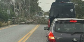 Ισχυροί άνεμοι και προβλήματα από πτώσεις δέντρων στη δυτική Κρήτη