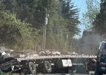 ΗΠΑ: 250 εκατ. μέλισσες διέφυγαν έπειτα από ανατροπή φορτηγού