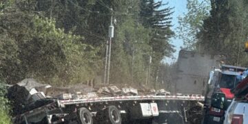 ΗΠΑ: 250 εκατ. μέλισσες διέφυγαν έπειτα από ανατροπή φορτηγού