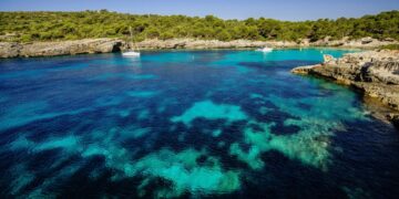 Οι influencers βλάπτουν σοβαρά το περιβάλλον