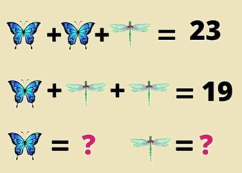 Mπορείτε να βρείτε τον αριθμό που αντιστοιχεί σε κάθε έντομο σε 18 δευτερόλεπτα;