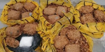 Σύλληψη 55χρονου για απόπειρα εισαγωγής 3 κιλών κοκαΐνης σε σακούλες με… αποξηραμένες γαρίδες