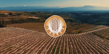 Οργανωμένο κύκλωμα πίσω από τις παράνομες επιδοτήσεις