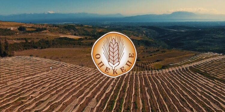 Οργανωμένο κύκλωμα πίσω από τις παράνομες επιδοτήσεις