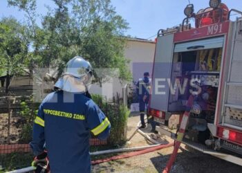 Πρέβεζα: Πώς έγινε η τραγωδία με τις δύο νεκρές αδελφές