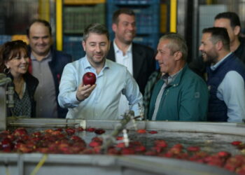 Ανδρουλάκης: Χιλιάδες μικροϊδιοκτήτες ενώ είχαν οικόπεδα, βρέθηκαν με αγροτεμάχια