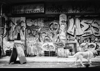 Παρουσίαση του νέου βιβλίου της Αλκμήνης Ψιλοπούλου