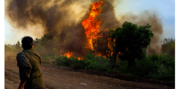 Fire now in Evia – ProtoThema English