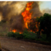 Fire now in Evia – ProtoThema English
