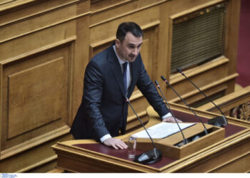 Υποκριτική η οικολογική ευαισθησία της κυβέρνησης