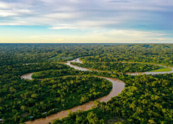 Amazon tribe sues the New York Times for portraying them as addicted to internet porn